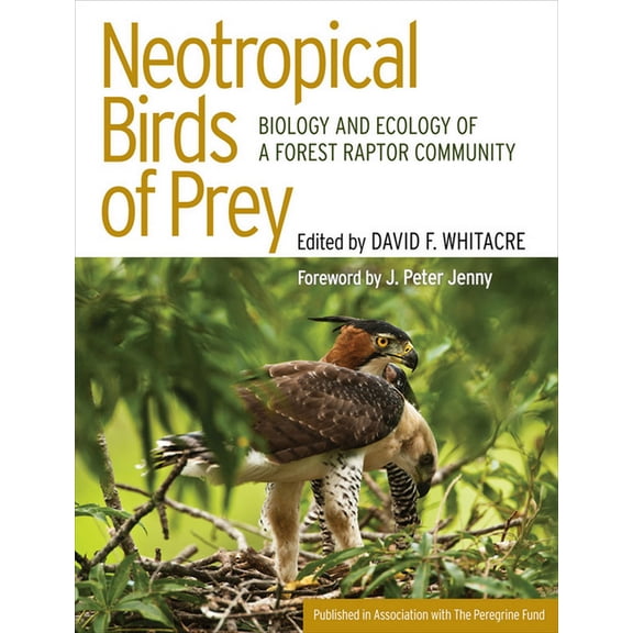 Neotropical Birds of Prey: The Origins and Evolution of No Child Left Behind, (Hardcover)
