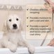 thumbnail image 4 of Pet Shampoo - Dog Shampoo and Coat Wash for Hydrating, Cleansing and Adding Shine - Pet Supplies - 300ml, 4 of 5