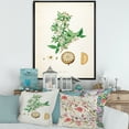 thumbnail image 2 of Designart 'Ancient Plant Life X' Farmhouse Framed Canvas Wall Art Print, 2 of 5