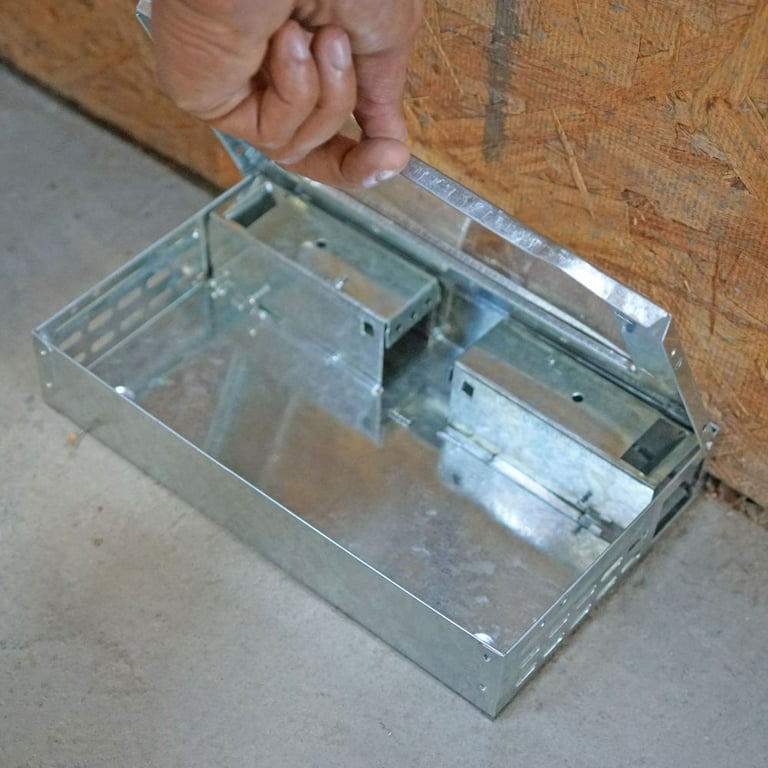 Repeater Multiple Catch Mouse Trap with Clear Lid