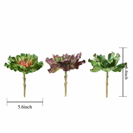 Faux Succulent BalsaCircle 3 pcs 6-Inch Assorted Artificial Faux Succulent Picks Echeveria Rosettes Stems Wedding Tabletop Centerpieces Decorations ()