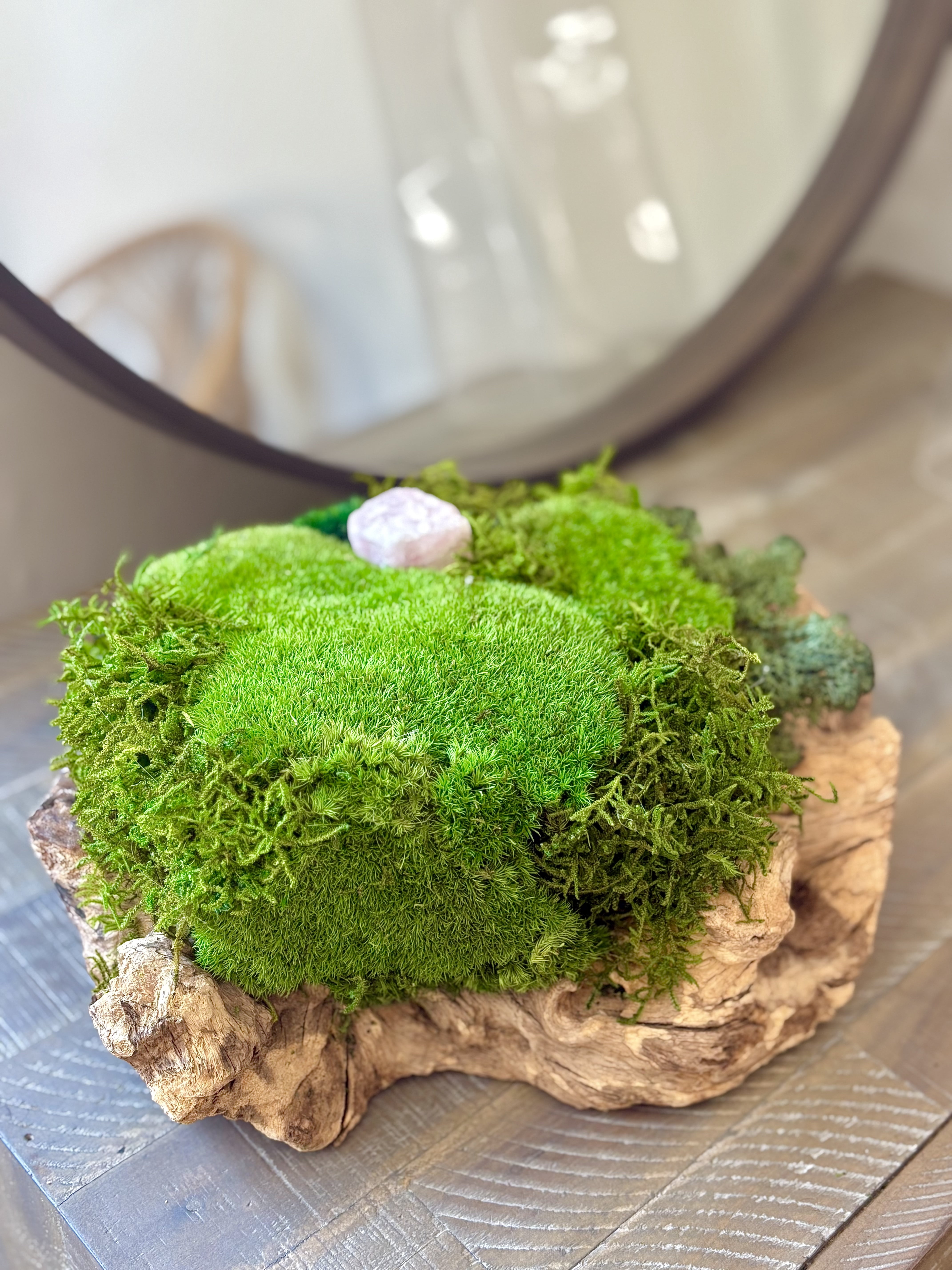 Preserved Moss Centerpiece Eco-Friendly in Teak Wood Planter