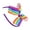 1 piece rainbow head, variant on Colorful Bowknot Rainbow Hair Clip for Girls Kid Barrettes Ribbon Rainbow Headband Hairpins Lovely Hairpins