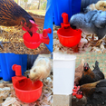 thumbnail image 2 of FACEGA 6Pcs Chicken Waterer,Automatic Chicken Water Feeder,Easy Clean Leak-Proof Design,Red, 2 of 7