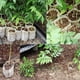 thumbnail image 5 of 100 Bolsas de Cultivo para Macetas de Vivero | Bolsas de Cultivo de Plántulas de Tela No Tejida de 8 X 10 Cm | Contenedores Biodegradables para Trasplantes de Jardín, Inicio de Semillas y Cuidado de, 5 of 6