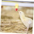 thumbnail image 4 of Bebedero automático para pollos, bebedero con tetina de agua para aves de corral, comederos, válvula de bola para beber pollo, estilo tornillo, 30 paquetes, 4 of 5