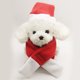 thumbnail image 1 of Traje De Navidad Para Gato, Gorro De Papá Noel Con Bufanda, Disfraz De Navidad Para Gatos, Gorro De Fiesta Para Gatos, Mascotas, Gorro De Papá Noel, Disfraz De Navidad De, 1 of 7