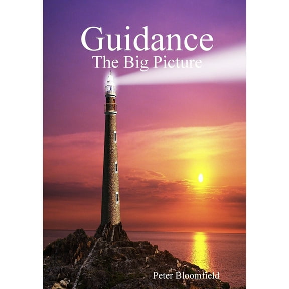 Guidance - The Big Picture (Paperback)