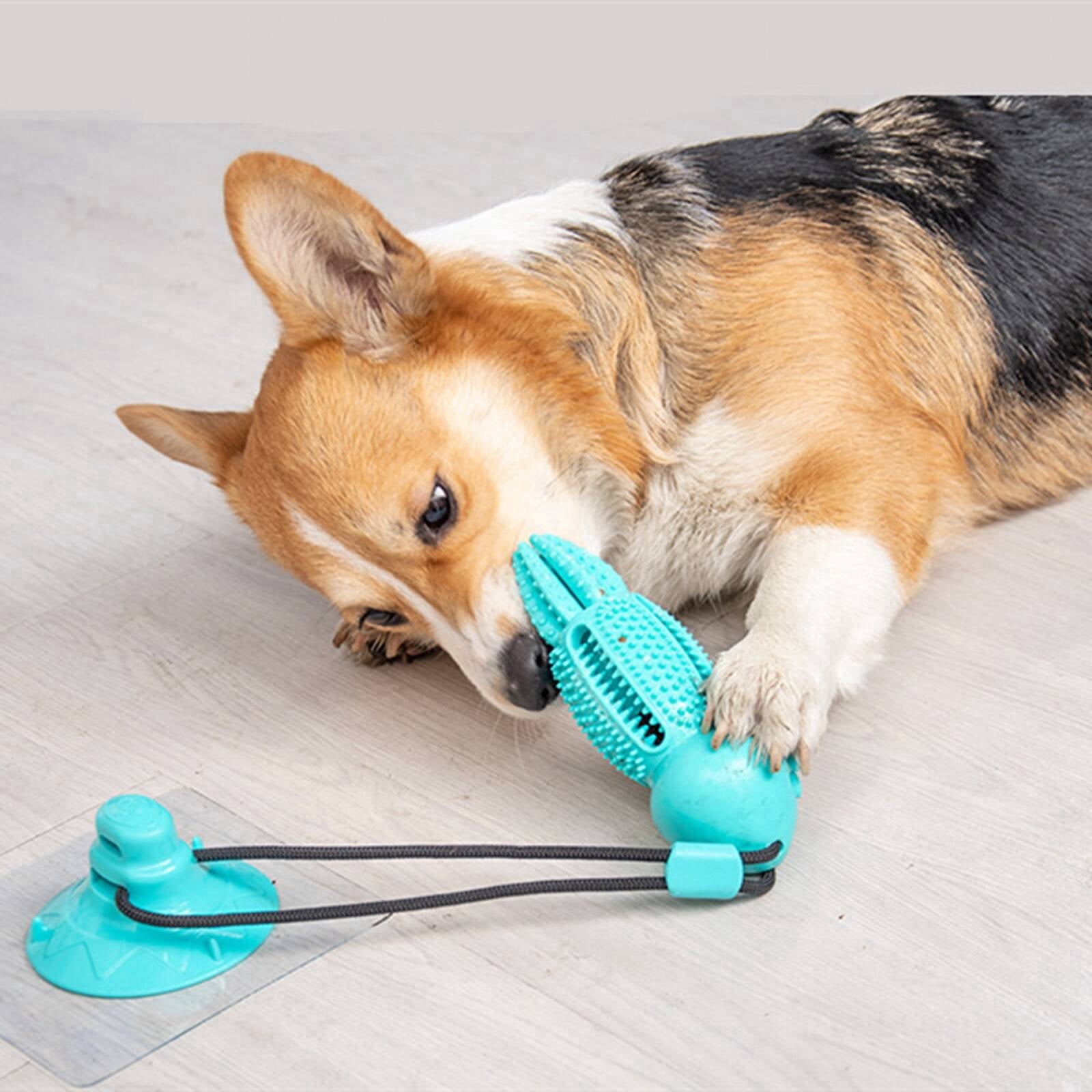 BESTSKY 2026 New Dog Ball Maintains Oral Hygiene Puppy Teething Toy Attracts Pet Interest Dog Chew Toy Green for Dental Care Teething Relief Interactive Play Puppy Entertainment