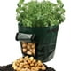 LSLJS Potato Planter Pe Container Sac Sachet Plante Culture Pot Fenêtre Latérale, Grow Bag sur la Clairance – image 1 sur 9