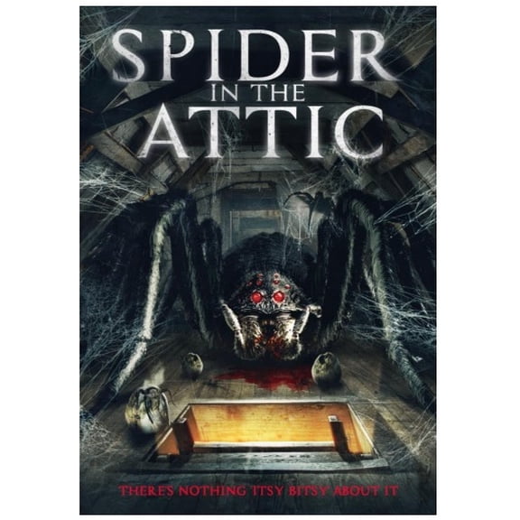 Itn - Spider in the Attic [DIGITAL VIDEO DISC]