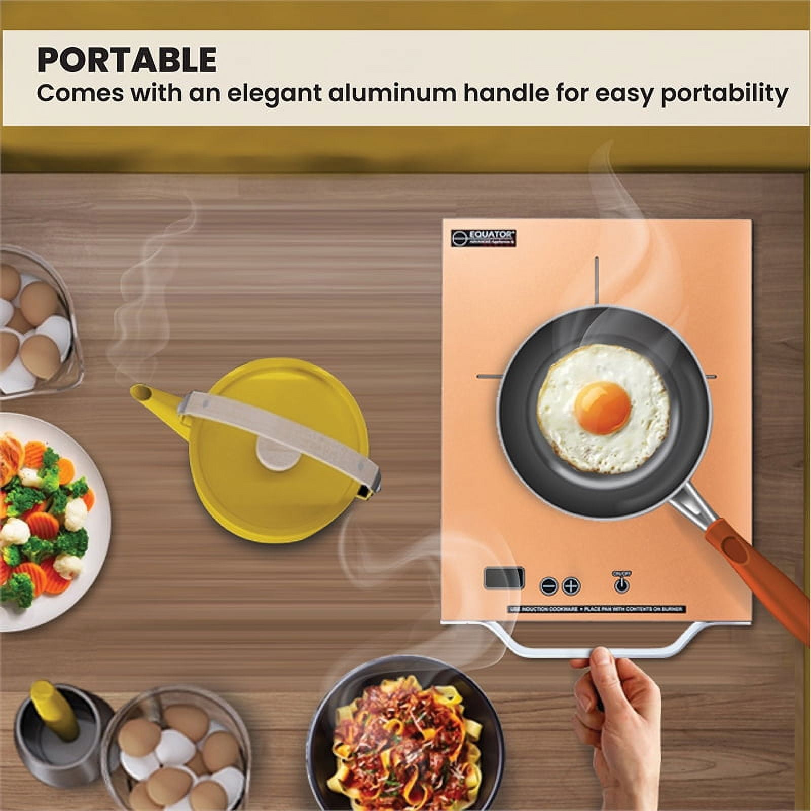 Equator 11inch Portable Single-Burner Induction Cooktop - with Handle in Silver