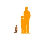 thumbnail image 2 of Mongoose Life Size Statue, 2 of 8