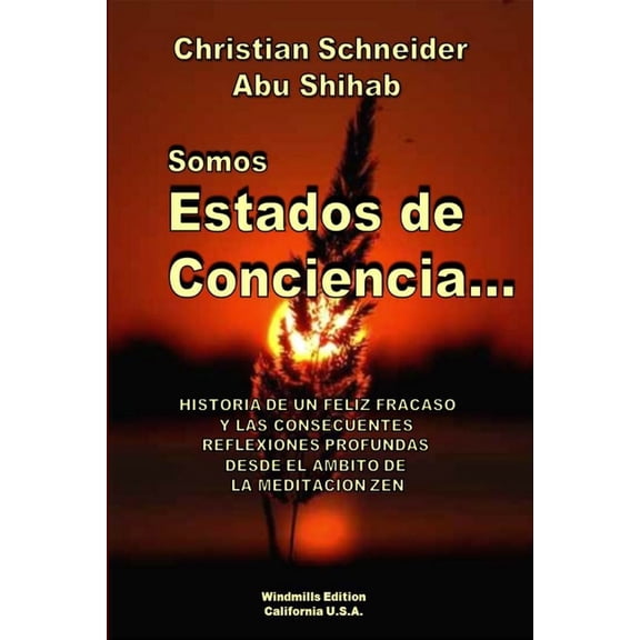 Somos Estados de Conciencia (Paperback)