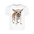 thumbnail image 1 of Angry Chihuahua Tee Girl's -Image by Shutterstock, 1 of 1