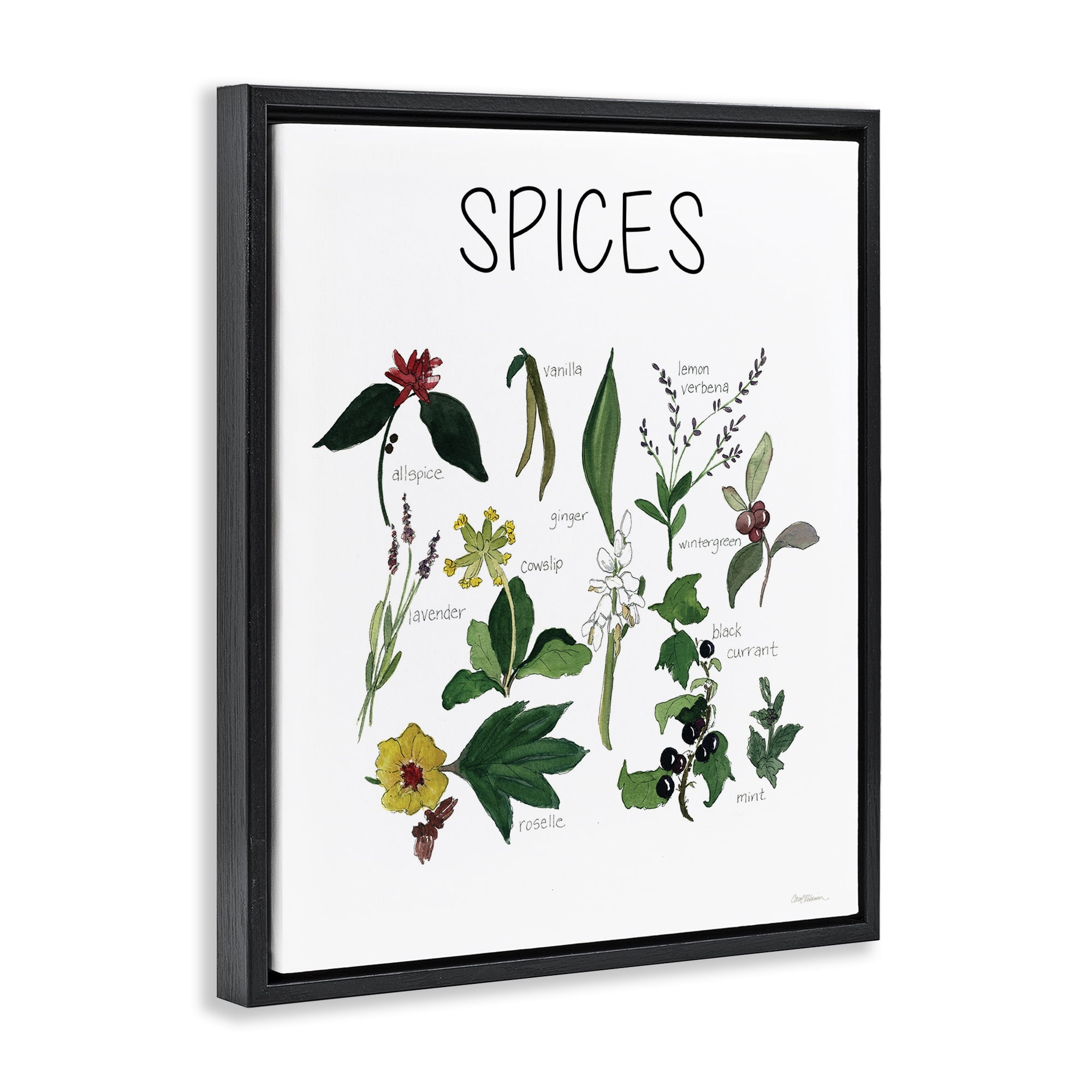 Stupell Industries Spices Identification Chart Black Framed Floater Canvas Wall Art, design by Carol Robinson