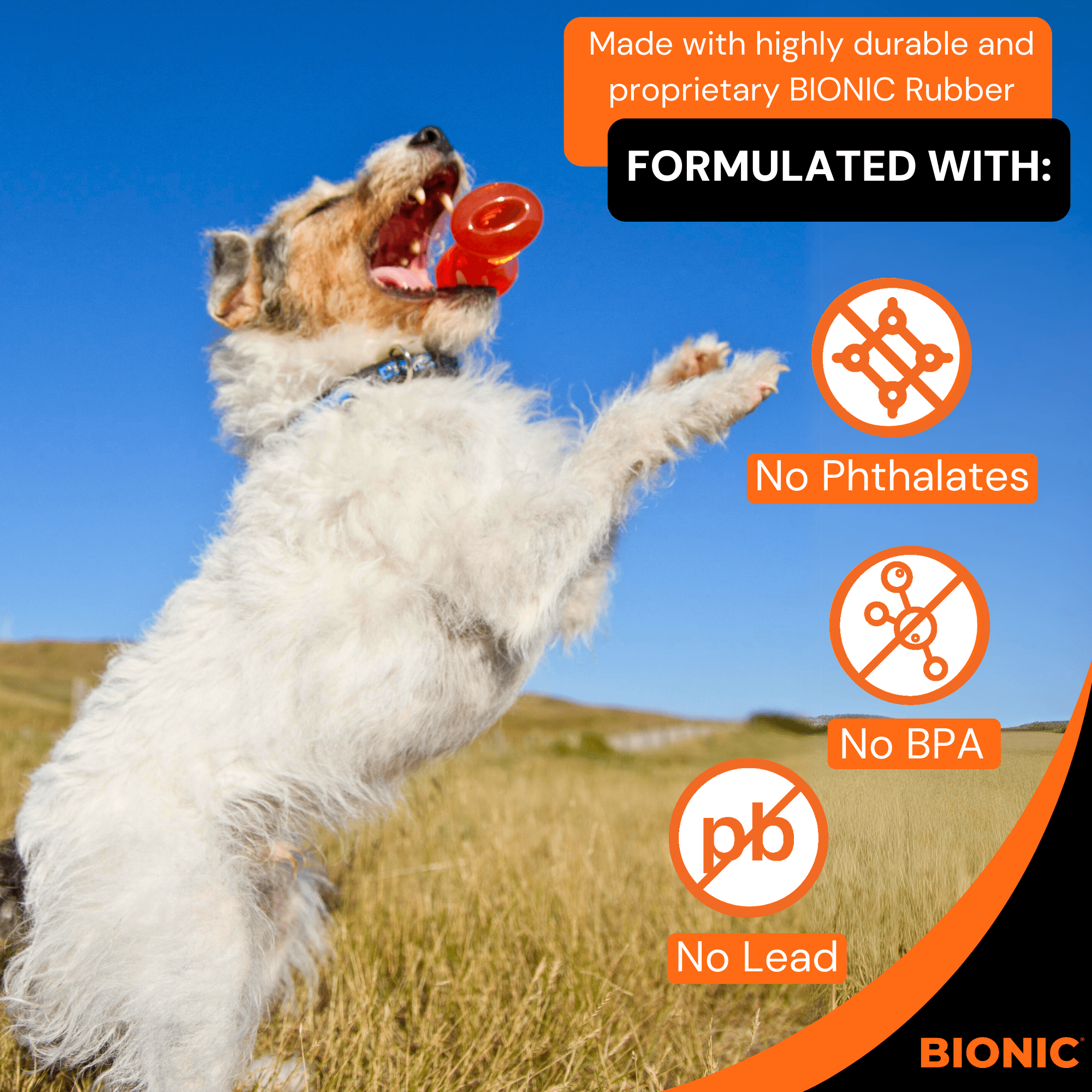 BIONIC Bone, Small, 3.5in