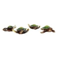 thumbnail image 4 of Green Coastal Ocean Marine Giant Sea Turtle Miniature Figurines Pack Of 4, 4 of 8