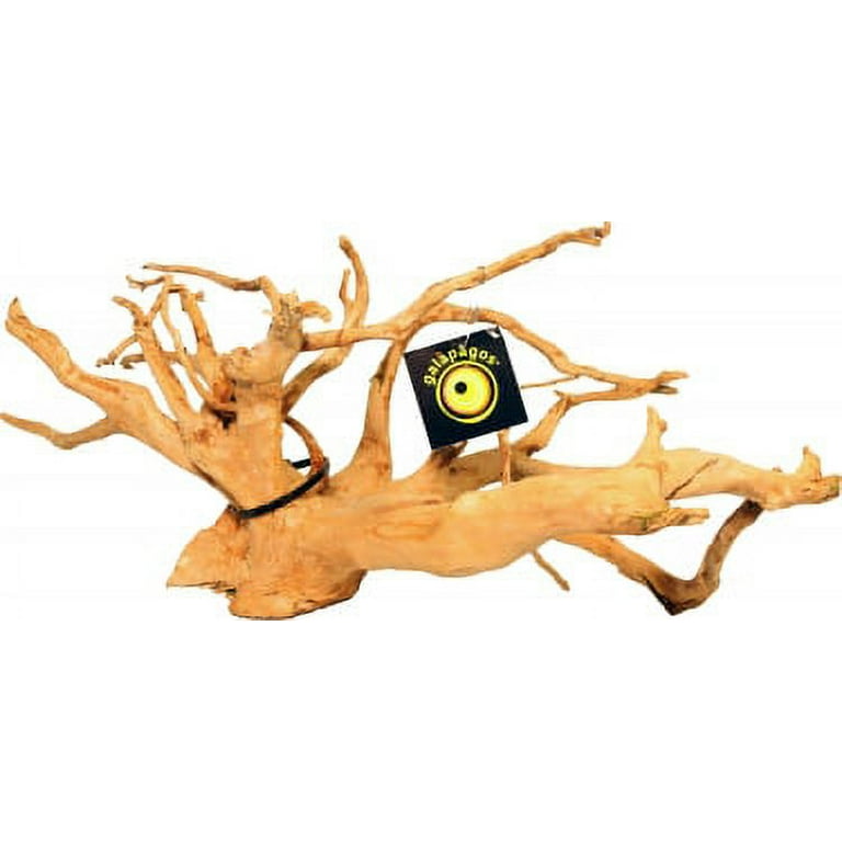 Zoo Med Spider Wood, Small, Perfect for Aquariums and Terrariums, 690857,  Small/8-12 Inch