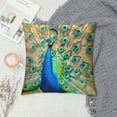 thumbnail image 2 of Orinice Peacock Feathers Graphic Decorative Throw Pillow Cover for Home Couch Living Room Bed Sofa - Soft and Durable 1PC 24x24in, 2 of 5