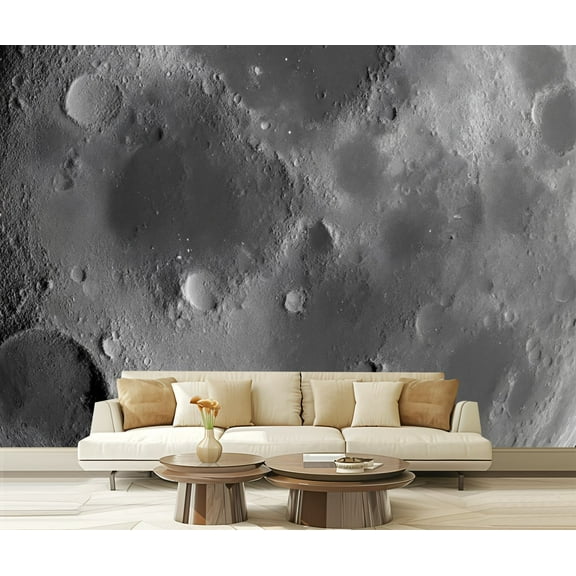 Peel and Stick Wallpaper Canvas Moon Dark Night Sky Landscape Mural Craters Surface Shadows Brightness Modern Art Wall Mural Decor Self Adhesive and Removable 69in x 98in