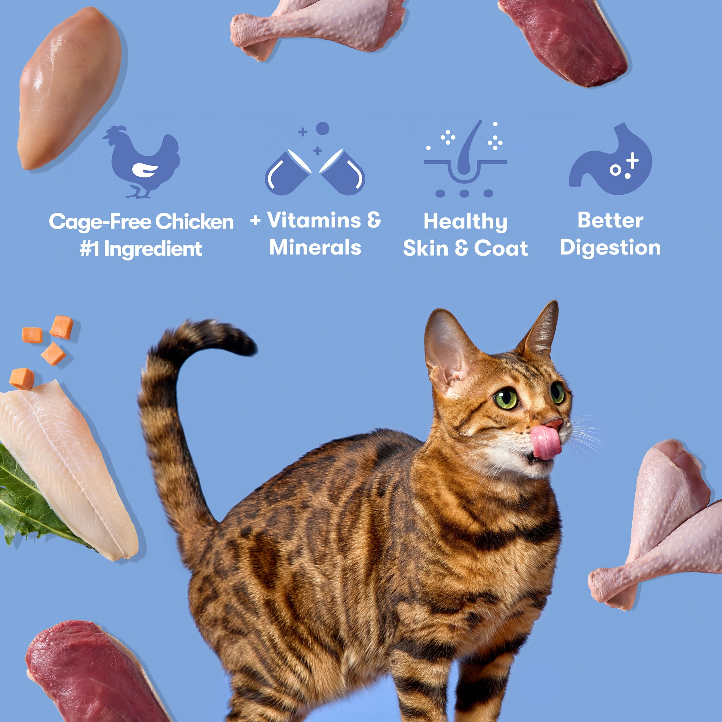 Jinx Cage-Free Chicken, Turkey, Duck Dry Cat Food, 3 lb