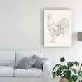 thumbnail image 3 of Trademark Fine Art 'Rooster Sketch II' Canvas Art by Ethan Harper, 3 of 4