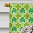 thumbnail image 3 of Drapeau Trèfle de la Saint-Patrick en Toile Taille Maison, 3 of 4