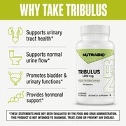 NutraBio Tribulus Terrestris Extract Supplement - Tribulus Terrestris for Men and Women- Natural Vitality Booster, 90 Capsules