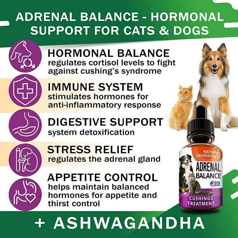 Adrenal Balance For Dogs And Cats Cushings Treatment For