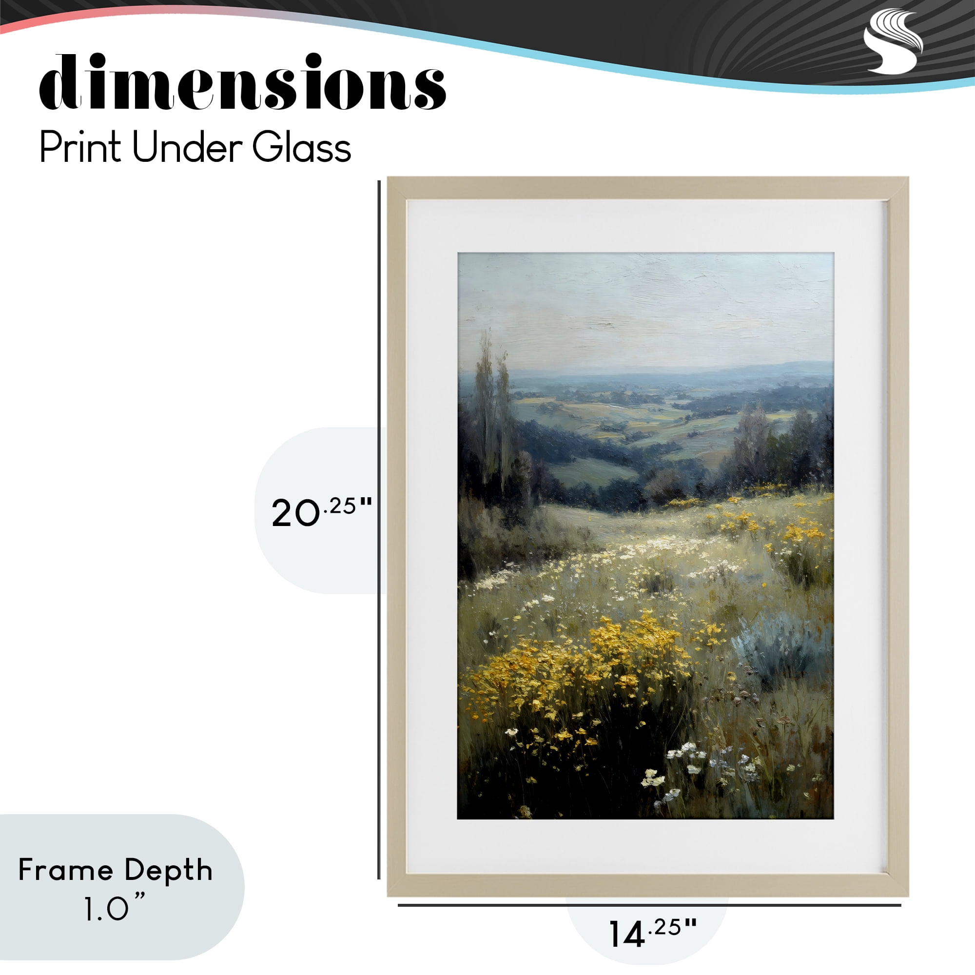 Stupell Industries Sporadic Meadow Flowers Birch Framed Print Under Glass, design by Petal Prints Design