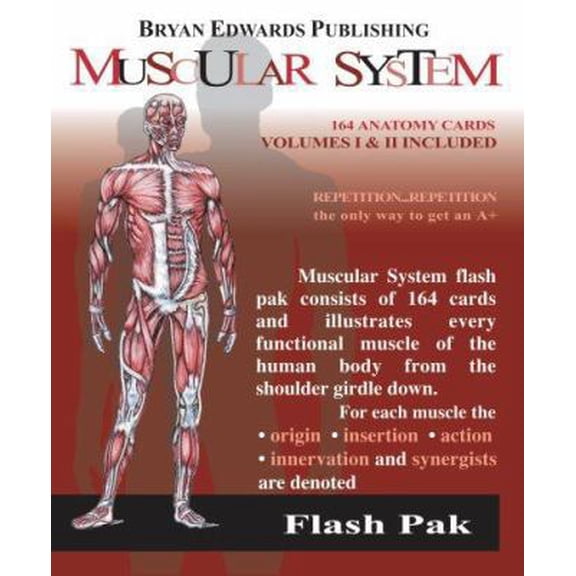 Pre-Owned The Muscular System (Flash Paks/Volumes 1 and 2) (Paperback) 1878576054 9781878576057