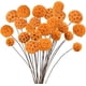 thumbnail image 1 of 24 piezas de flores secas de Craspedia Billy Balls, ramo de 18 flores secas naturales para jarrones, arreglos florales, centros de mesa de boda, fiestas, bricolaje, 1 of 5