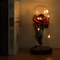 thumbnail image 3 of Lámpara de Flores, Flores de Cumpeados de Flores preservadas para Mujeres Rosas Conservadas con Cubión de Vidrio para Aniversarios, Bodas, Cumpados o Cualquier Ocasión, 3 of 7