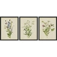 thumbnail image 2 of PixonSign Framed Canvas Print Wall Art Set - Vibrant Green Purple Wildflower Trio Poster Arts - Set of 3 Botanical Floral Colorful Wall Décor for Living Room, Bedroom, Office - 8"x10" Black, 2 of 5