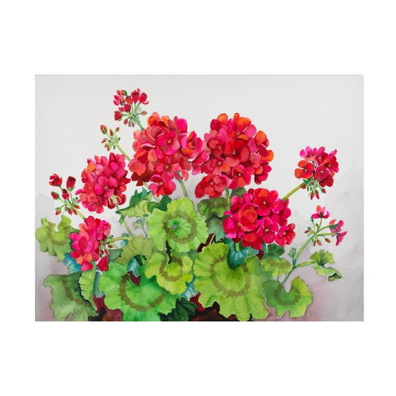 Trademark Fine Art Joanne Porter Red Geraniums Canvas Wall Art - 18x24