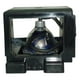 Lutema Platine pour Samsung HLR4667 Lampe de Télévision avec Boîtier (Ampoule Philips d'Origine à l'Intérieur) – image 3 sur 5