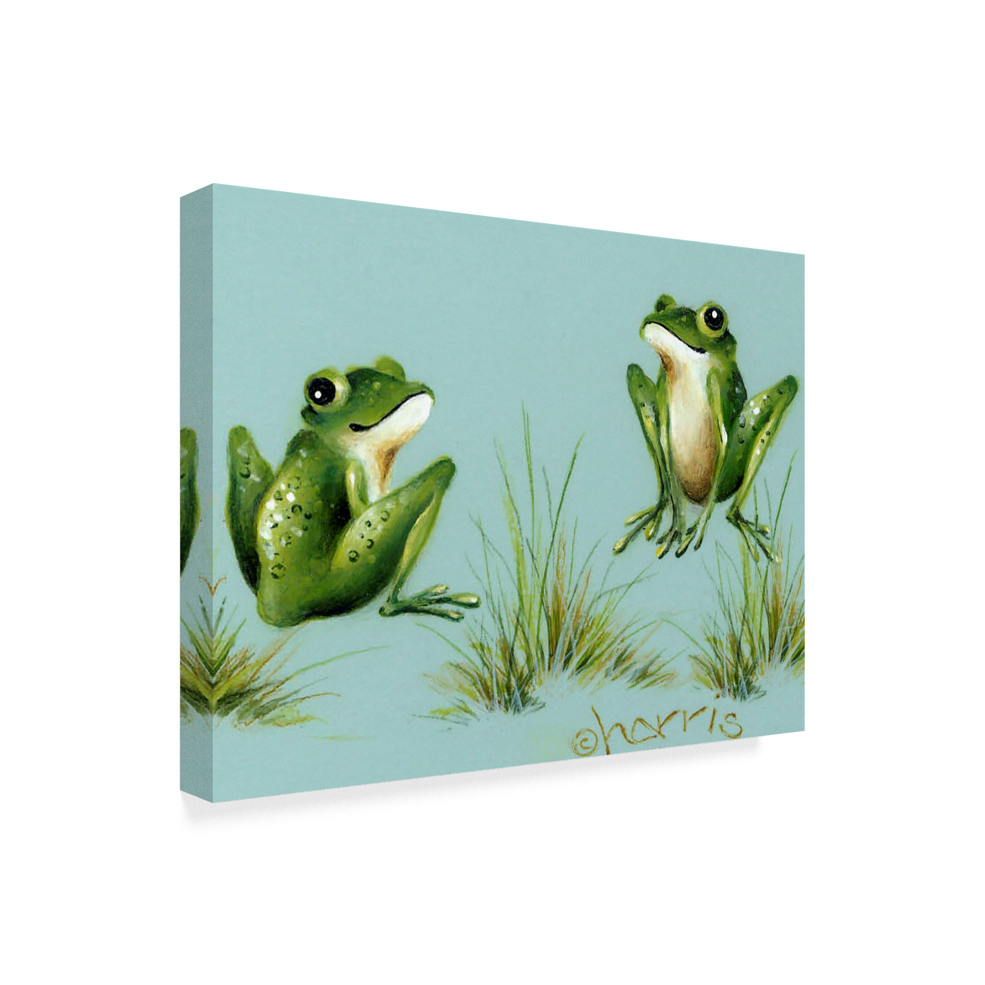 Trademark Fine Art 'April Showers Frogs With Grass' Canvas Art by Peggy Harris