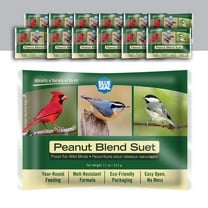 Blue Seal Peanut Blend Suet Cakes for Wild Birds - 11oz Suet Feeder (Pack of 12) - New
