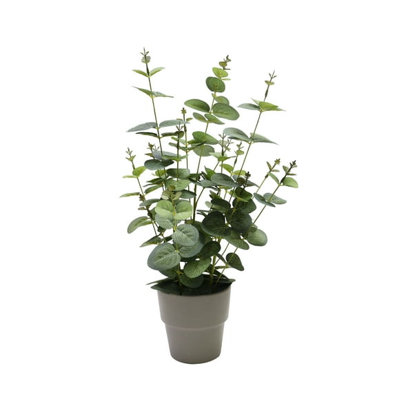 Nature's Mark 19.7’’H Artificial Eucalyptus Greenery Plant in Gray Plastic Planter