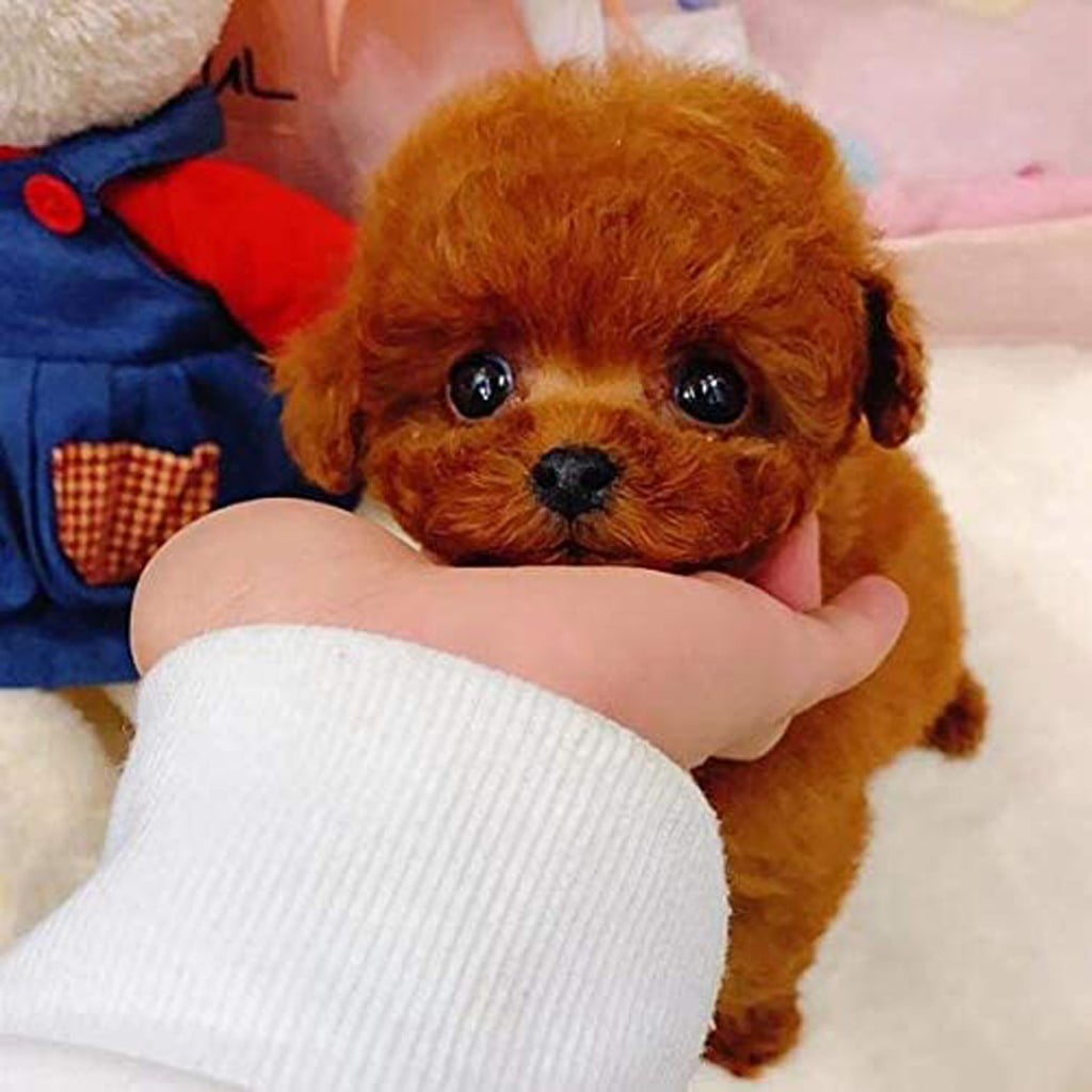 realistic toy dog