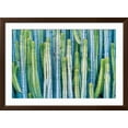 thumbnail image 2 of Art.com DETAIL VIEW OF THE CARDON CACTUS IN SUMMER WITH RICH BLUE GREEN AND TORQOUISE COLORS Photographic Print by ED Reardon, Brown Frame Wall Art, 44" x 32", 2 of 5