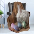 thumbnail image 4 of Easter Bunny Soft Flannel Fleece Blanket, Photo of Easter Rabbit with Colorful Dyed Eggs Wooden Background Illustration, Cozy Plush for Indoor and Outdoor Use, 70" x 90", Multicolor, by Ambesonne, 4 of 5