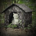 thumbnail image 3 of Maison pour Chat et Chien d'Extérieur, Maison pour Chat Sauvage Portable, Résistante aux Intempéries, Imperméable et Polyvalente pour Balcon Vert, Jaune, 3 of 7