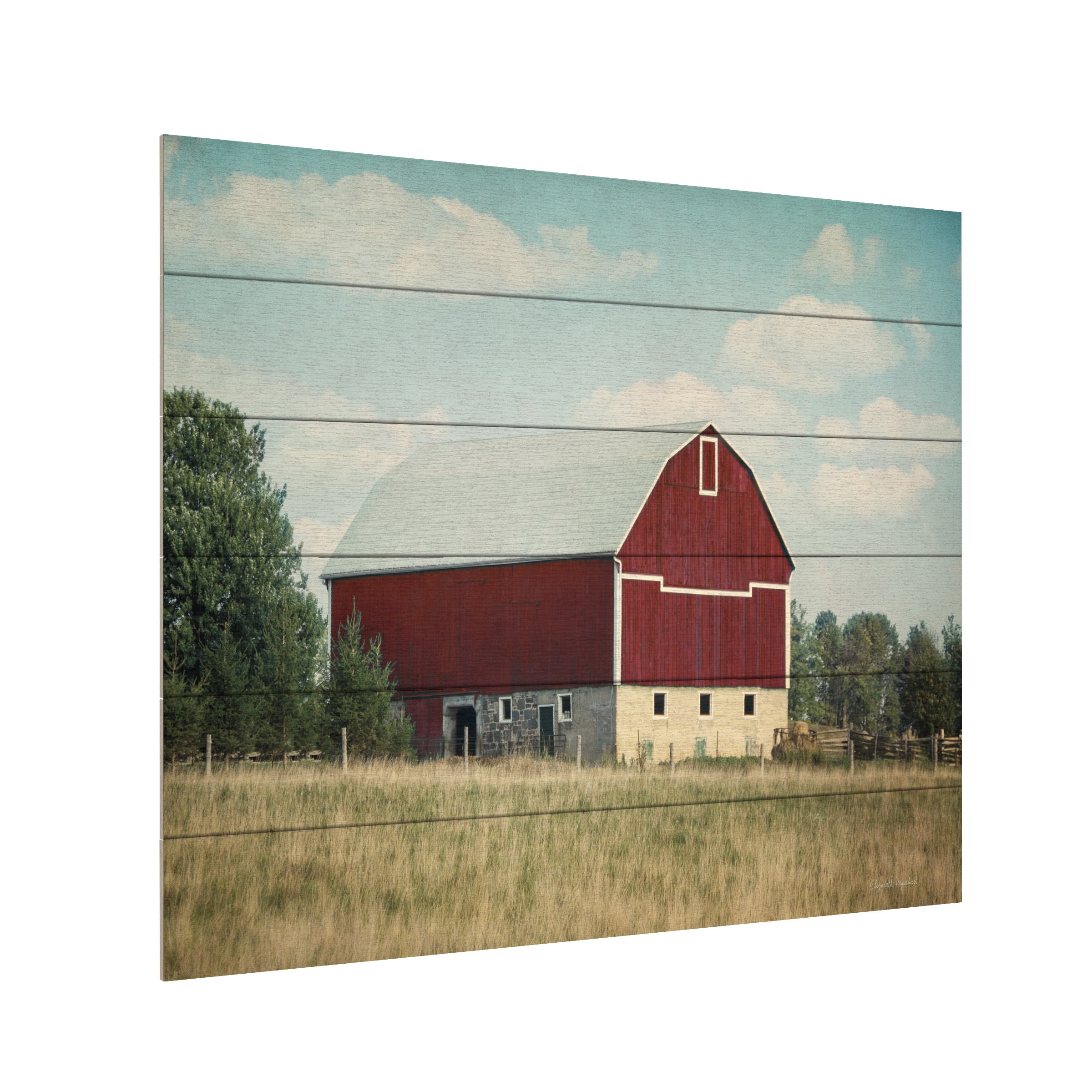 Elizabeth Urquhart 'Blissful Country VI' Wood Slat Art 18x22