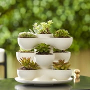 The HC Companies 8 Pixie Indoor Stacking Succulent Planter Pot, Vanilla Bisque