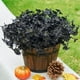 thumbnail image 3 of Flores artificiales violetas negras con hojas: Plantas artificiales de decoración gótica de Halloween para casas embrujadas,hogares,fiestas o festividades, 3 of 5