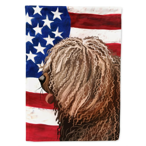 Carolines Treasures CK6719CHF Spanish Water Dog American Canvas House Size Outdoor-Flags, Multicolor