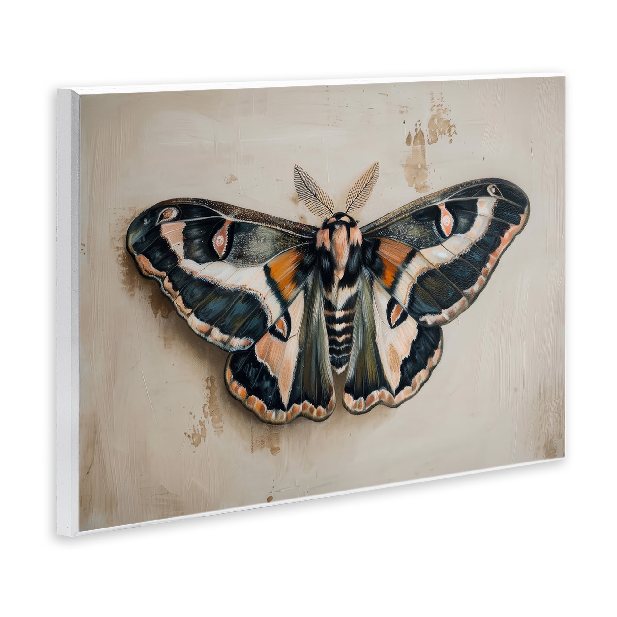 Stupell Industries Dark Winged Moth Animals Painting Unframed Art Print Wall Art, 15 x 10