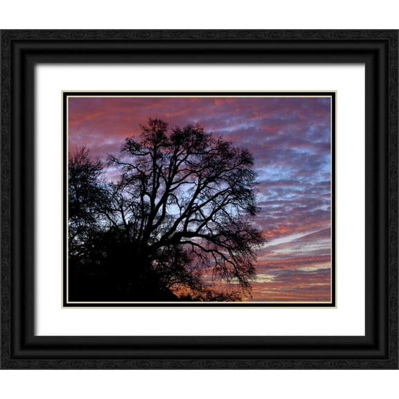 Terrill, Steve 32x26 Black Ornate Wood Framed with Double Matting Museum Art Print Titled - OR, Multnomah Co, Oak tree at sunrise